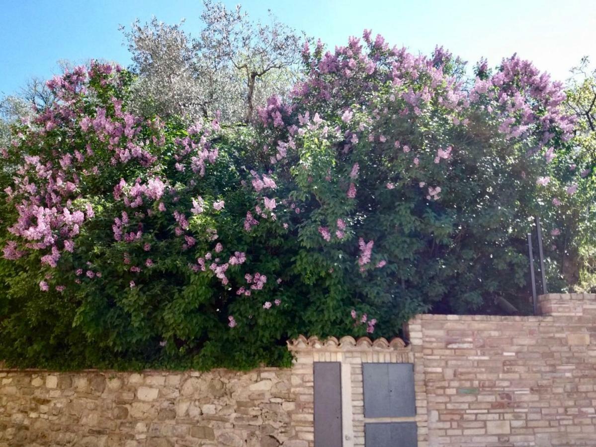 Lavanda E Rosmarino Home アッシジ エクステリア 写真